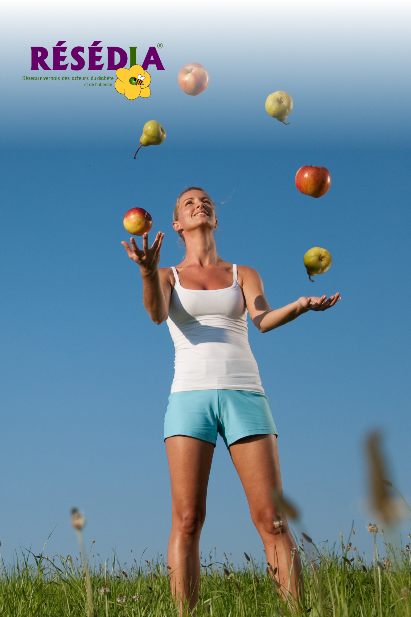 Schéma de l'écosystème de Résédia avec ses partenaires, professionnels et programmes.